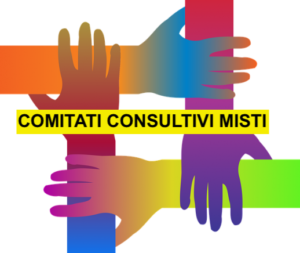 Comitati consultivi misti
